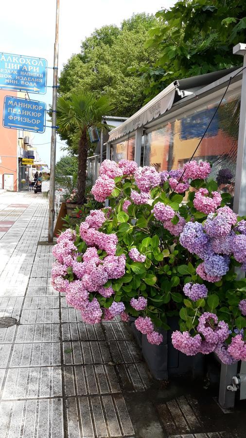 Fresh Kiten Kiten  Εξωτερικό φωτογραφία